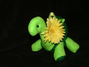 green tort with yellow flower 2